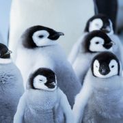 The Elements: How Cold Affects Your Home